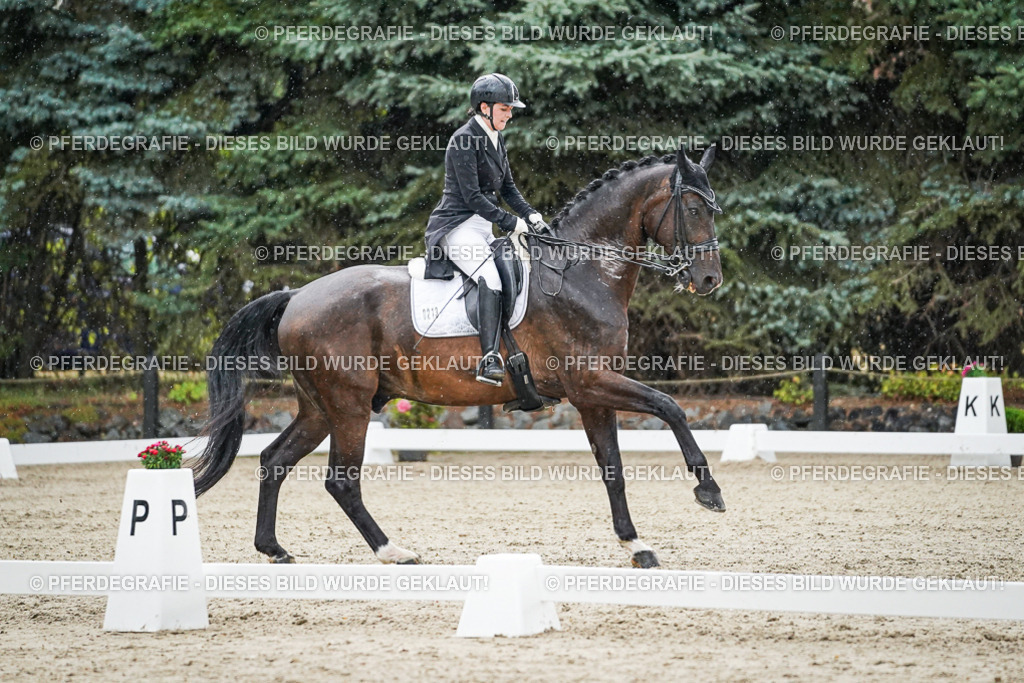 DSC08209 | Pferdegrafie