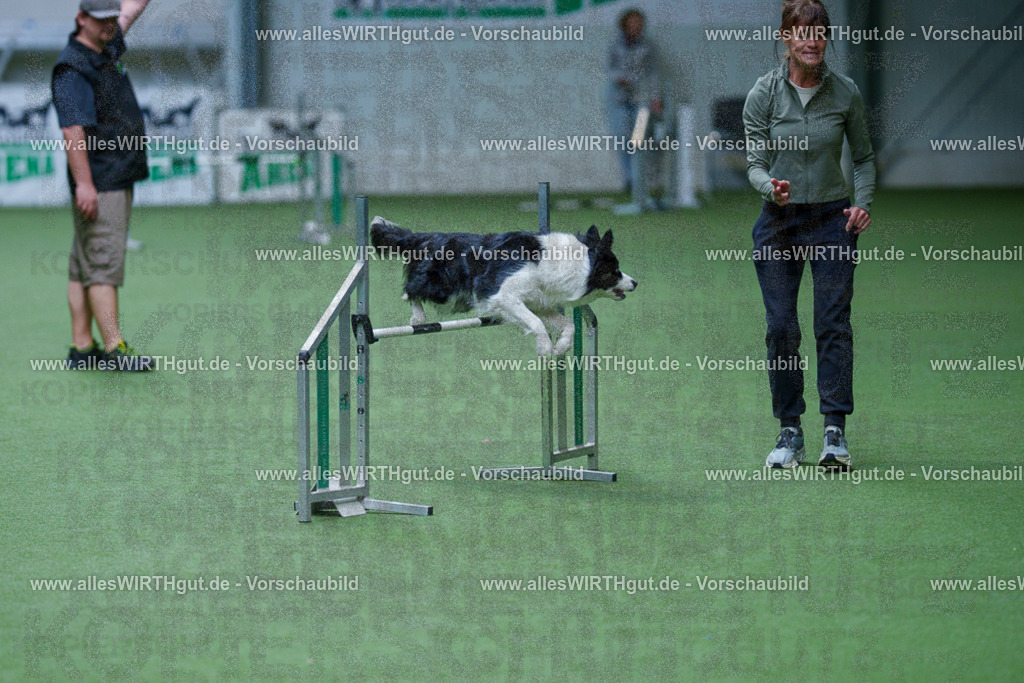 @allesWIRTHgut_Tierfotografie - www.allesWIRTHgut.de - 2604260931-7R508007 | Professionelle Tierfotografie in Mönchengladbach von Daniel Wirth (allesWIRTHgut). Liebevolle & natürliche Bilder von Hunden & Katzen für unvergessliche Erinnerungen.