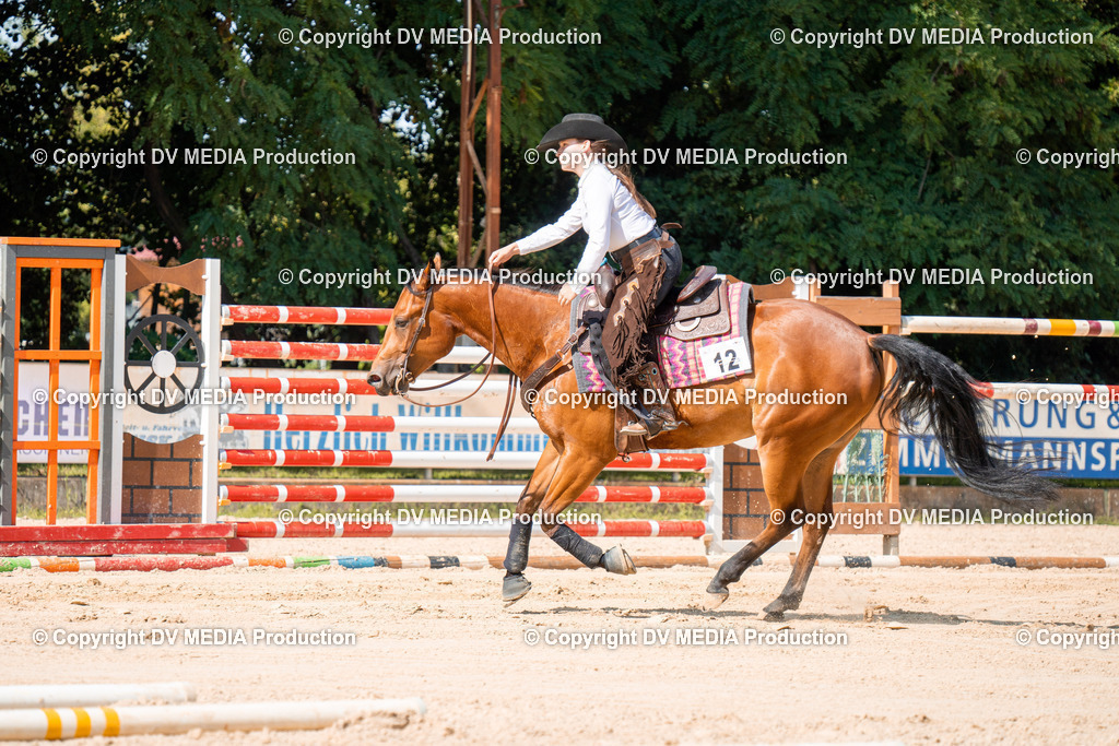 ZH100242 | dv-media-shop - Realisiert mit Pictrs.com