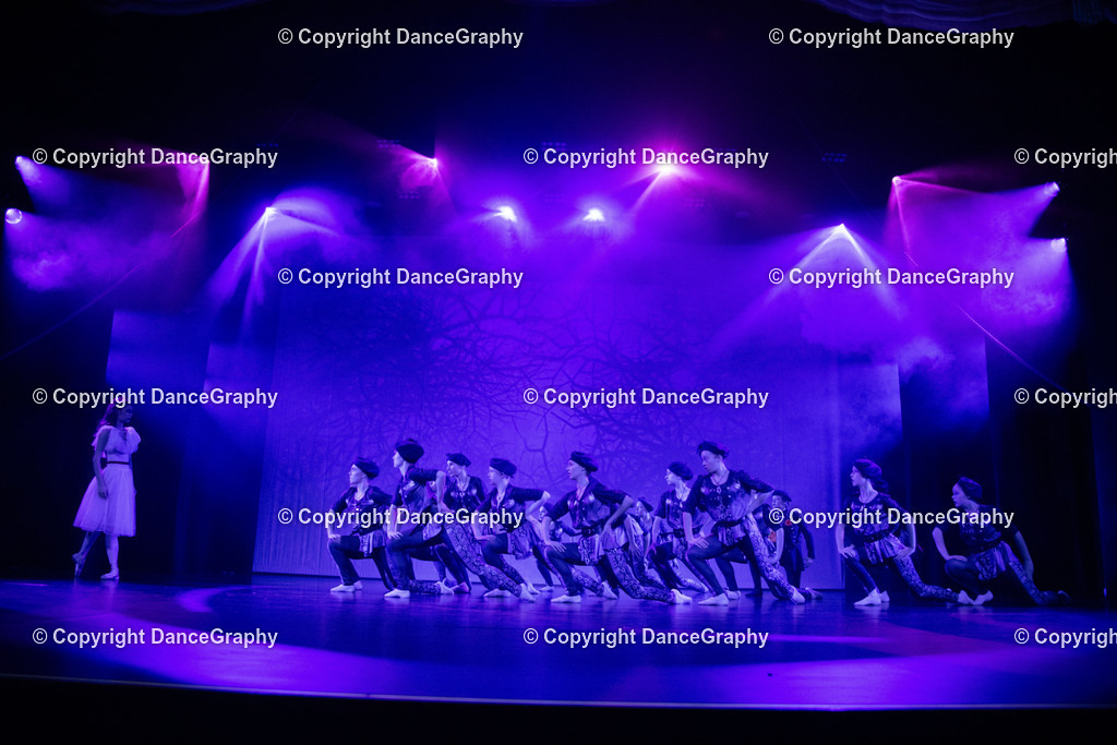 GPHY2768 | DanceGraphy - Realisiert mit Pictrs.com