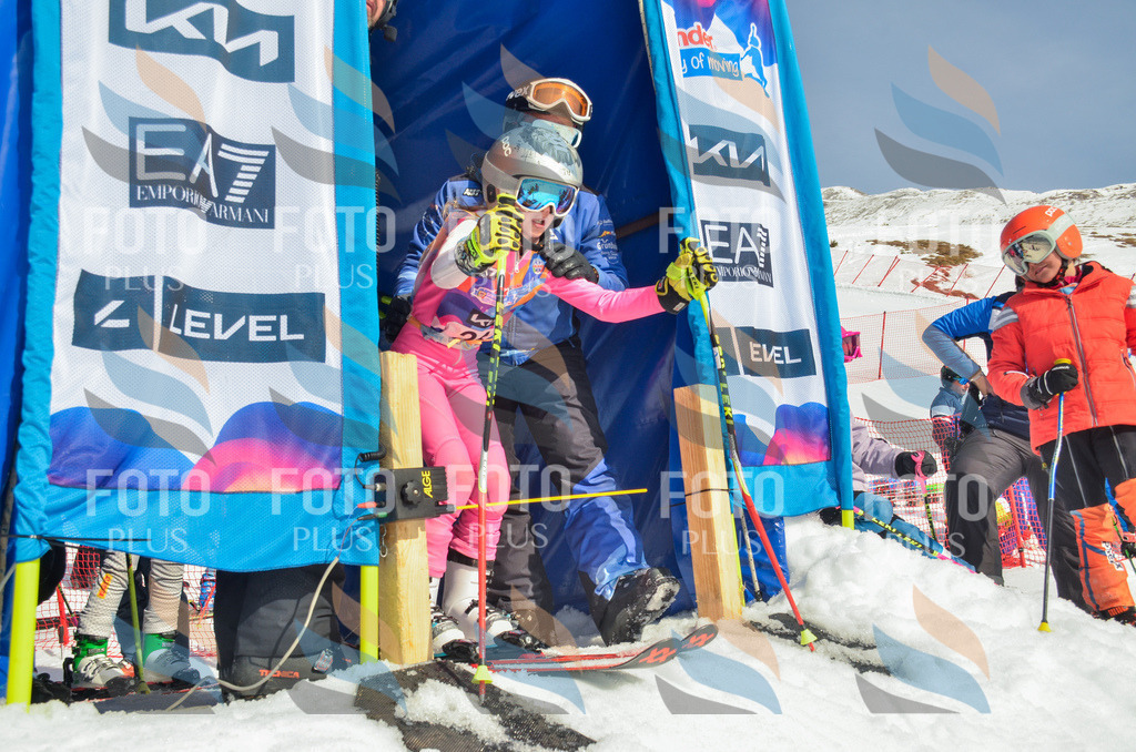 _ELE4783 | holidayphoto