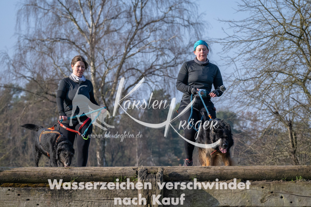 _ZZ94019 | kk-dogfotos