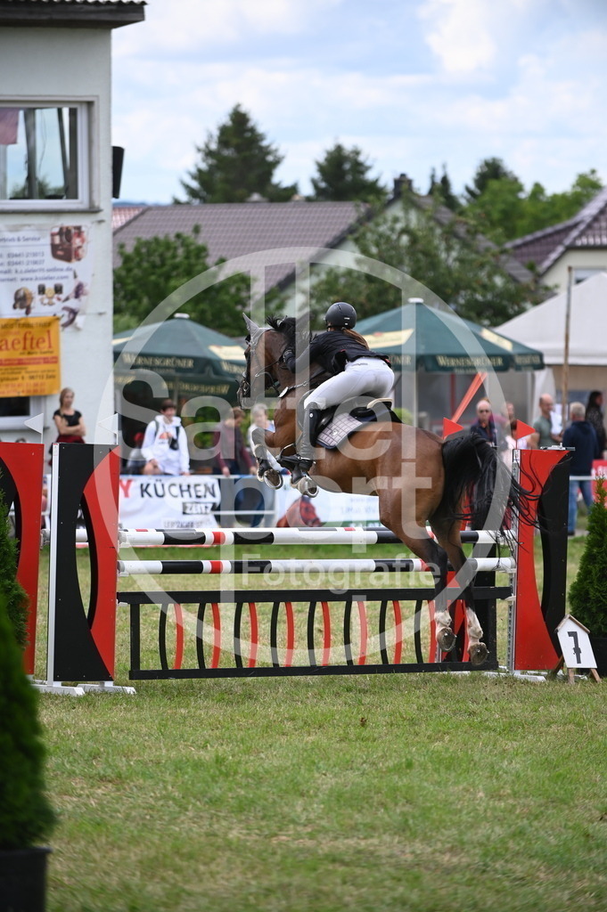 DSC_6985 | sattelsport - Realisiert mit Pictrs.com