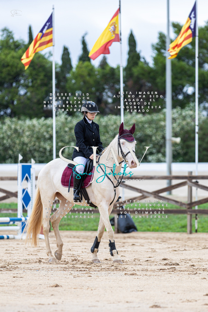 IMG_1384 | s-jay-photography - Realisiert mit Pictrs.com