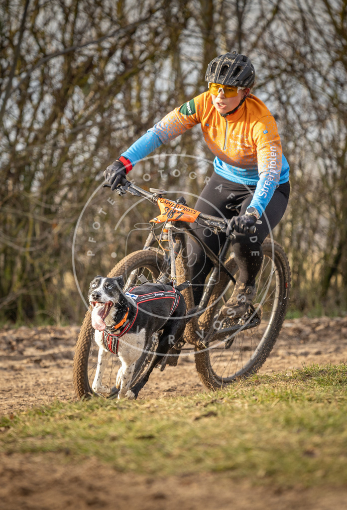 Pfotenfotografie_DV3A7505 | Hundefotografie, Tierfotograf, Pfotenfotografie, Fotoshooting Hund, Hunde Portrait, Hundesport, Hundeportraits, Heideshooting, Hunde, Sportfotograf, Hundefotograf, Turnierhundsport, THS,  - Realisiert mit Pictrs.com