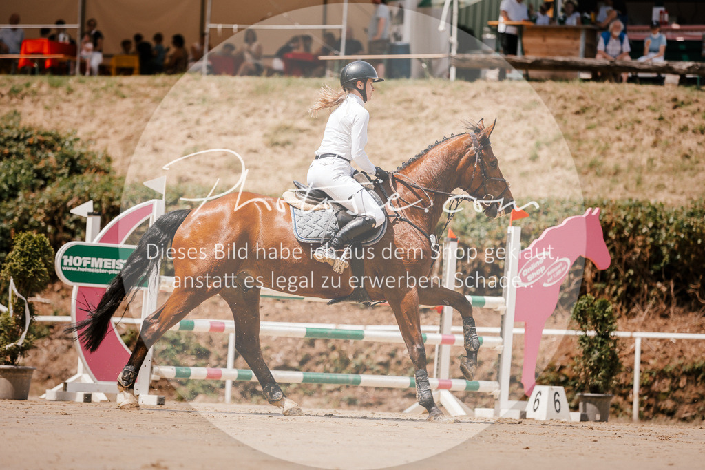 3I6A7741 | Stimmungsvolle Portraits und Reitsportfotografie im Ruhrgebiet und im Münsterland.

Pferdefotografie, Hundefotografie, Tierfotografie, Reportagen, Portraits von Tier und Mensch, Turnierfotografie in Bochum, Recklinghausen, Marl, Haltern am See, Dülmen.. - Realisiert mit Pictrs.com