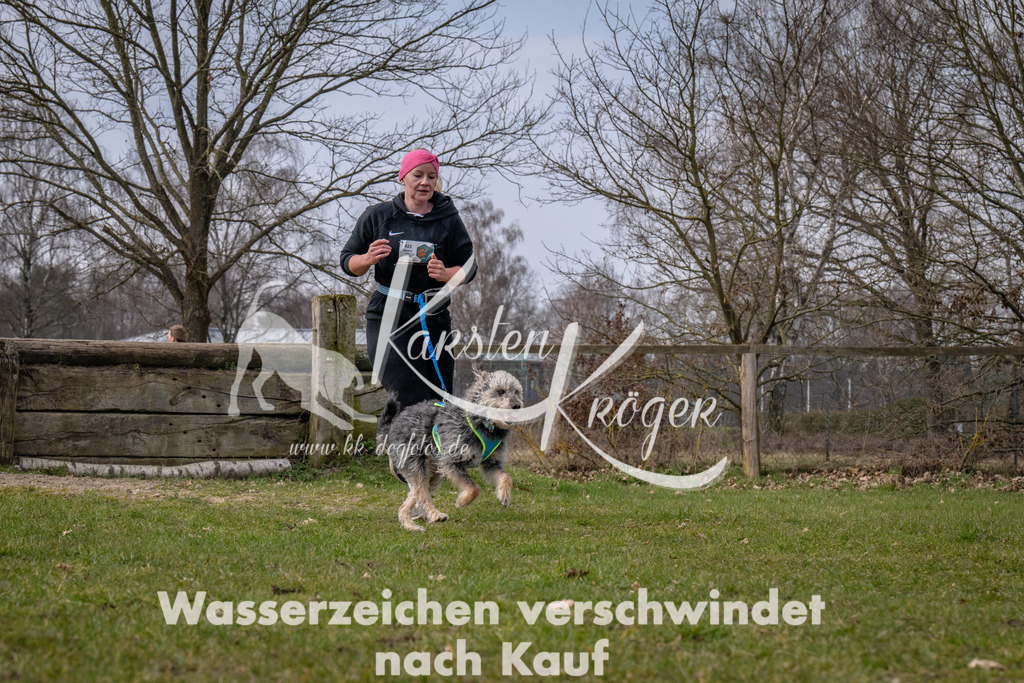 _ZZ91067 | kk-dogfotos