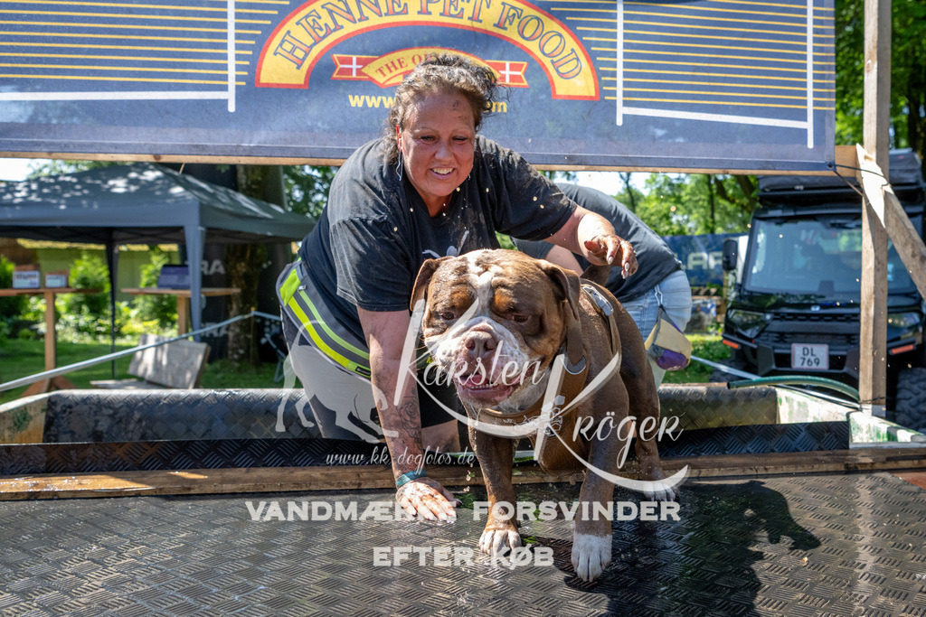 1246_ZZ92279 | kk-dogfotos