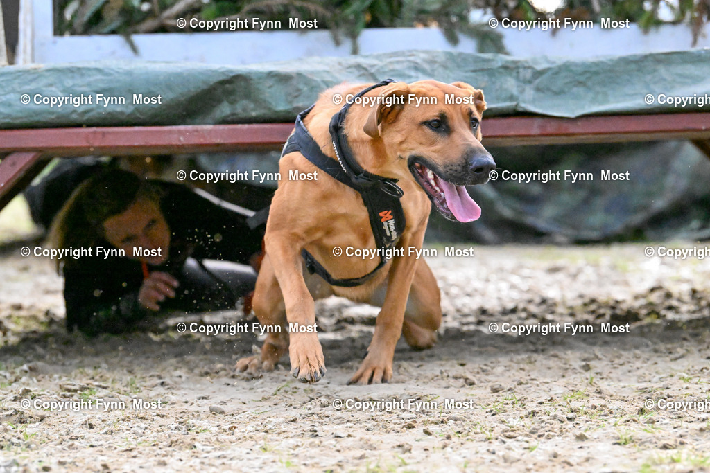 DSC_4506 | Hallo und herzlich Willkommen auf meiner Shop-Seite Fynn Most.

Ich wünsche Dir viel Spaß beim stöbern durch die Bilder, wenn Du Fragen hast oder Bilder vermisst, kannst du mir gerne eine Nachricht schreiben. - Realisiert mit Pictrs.com