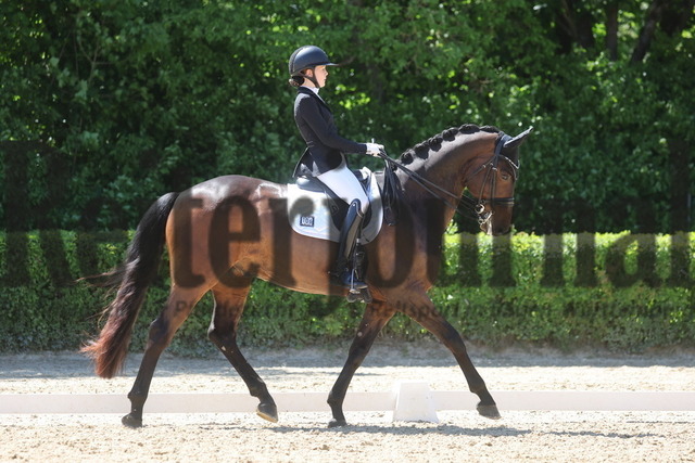 Böblingen_2025_Prfg.Nr.08_Dressurprüfung_Kl.M_Nürnberger Burgpokal_Lara Theis_FBW Felipe (4) | Alle Fotos der Reiterjournal Fotografin Doris Matthaes im Reiterjournal Online-Fotoshop. - Realisiert mit Pictrs.com