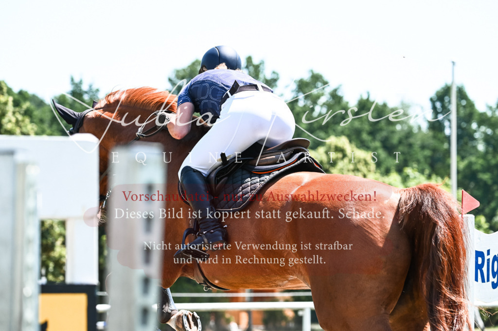 DSC_0144 | Pferde- und Turnierfotografie in Westsachsen. Pferdeportraits, Auftragszeichnungen und intuitive Kunst.