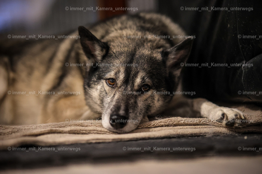 20240105081917_N39A1086 (1) | immer_mit_kamera_unterwegs