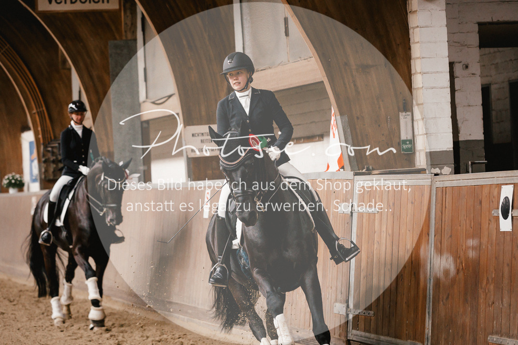 3I6A9155 | Stimmungsvolle Portraits und Reitsportfotografie im Ruhrgebiet und im Münsterland.

Pferdefotografie, Hundefotografie, Tierfotografie, Reportagen, Portraits von Tier und Mensch, Turnierfotografie in Bochum, Recklinghausen, Marl, Haltern am See, Dülmen.. - Realisiert mit Pictrs.com