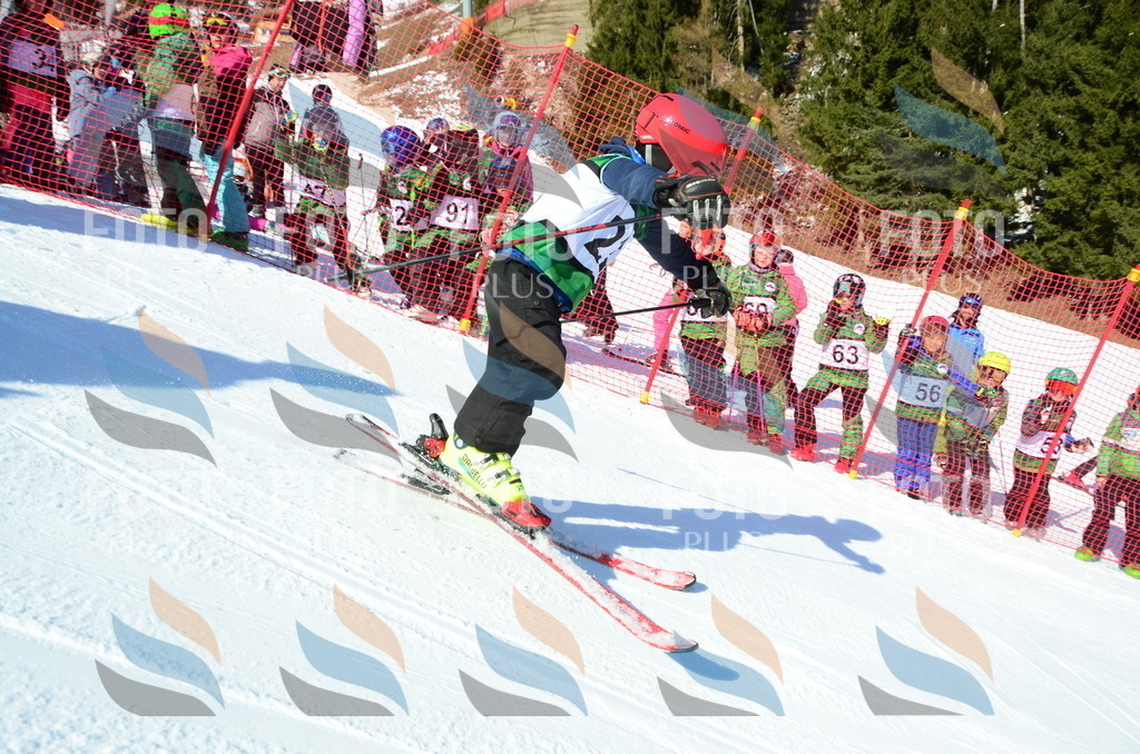 C4779 | holidayphoto