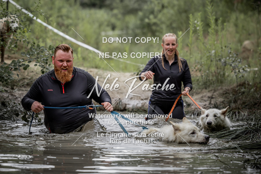 nelerasche_so0800-0930_447 | nelerasche