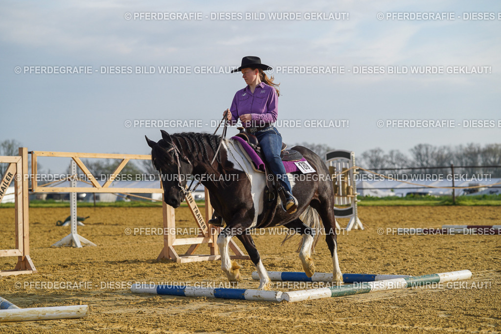 DSC00295 | Pferdegrafie