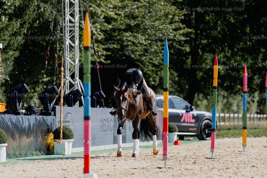 Virginie12FHC2025-09171 | working equitationturnier fotograf videograf stoibphotography marixx film working equitation deutschland reitsport turnierfotografie eventfotografie equestrian events