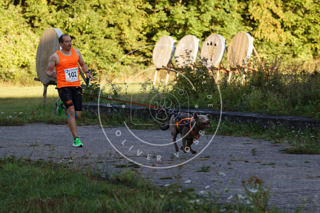 0L8A4714 | Hundefotografie, Tierfotograf, Pfotenfotografie, Fotoshooting Hund, Hunde Portrait, Hundesport, Hundeportraits, Heideshooting, Hunde, Sportfotograf, Hundefotograf, Turnierhundsport, THS,  - Realisiert mit Pictrs.com