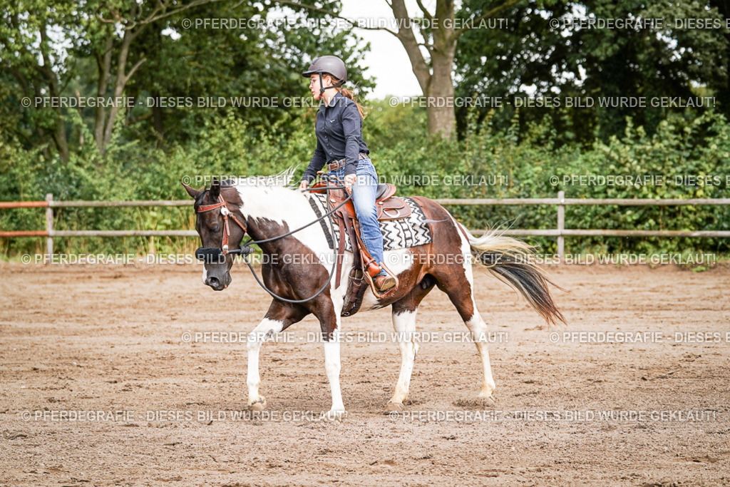 DSC07790 | Pferdegrafie