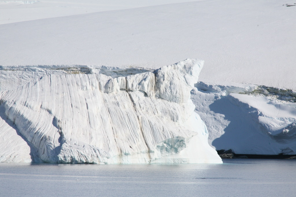 IMG_5206 | Antarktis / Antarctica - Realisiert mit Pictrs.com