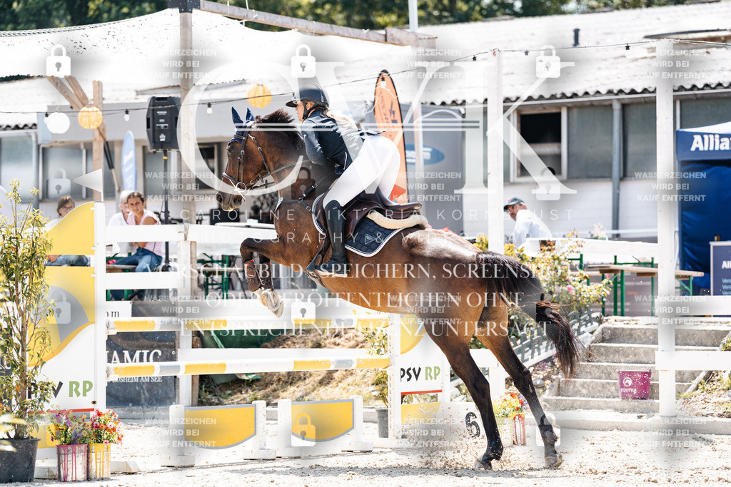 CK907706 | Turnierfotografie Pferdefotografie Trier Rheinland-Pfalz Pferdesport Reitsport Tierfotografie Sportfotografie Pferdevideo Pferdevideografie Equestrianvideography equestrianphotography  - Realisiert mit Pictrs.com