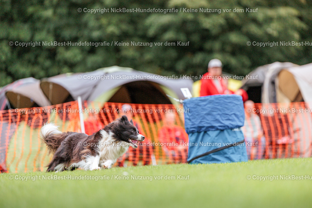 BSP Hoopers-H3 T1 Tag 2-2026-Nickbest-Hundefotografie-TuS Komet Arsten e.V.-9659 | Dein Hund! Dein Moment! Deine Erinnerungen! Hundefotografie in Bremen Blumenthal. Ich fange die besonderen Momente deines Vierbeiners ein – ob Indoor mit Blitzanlage oder in der freien Natur. Sicher dir dein Moment und dein Termin für eure Erinnerungen.