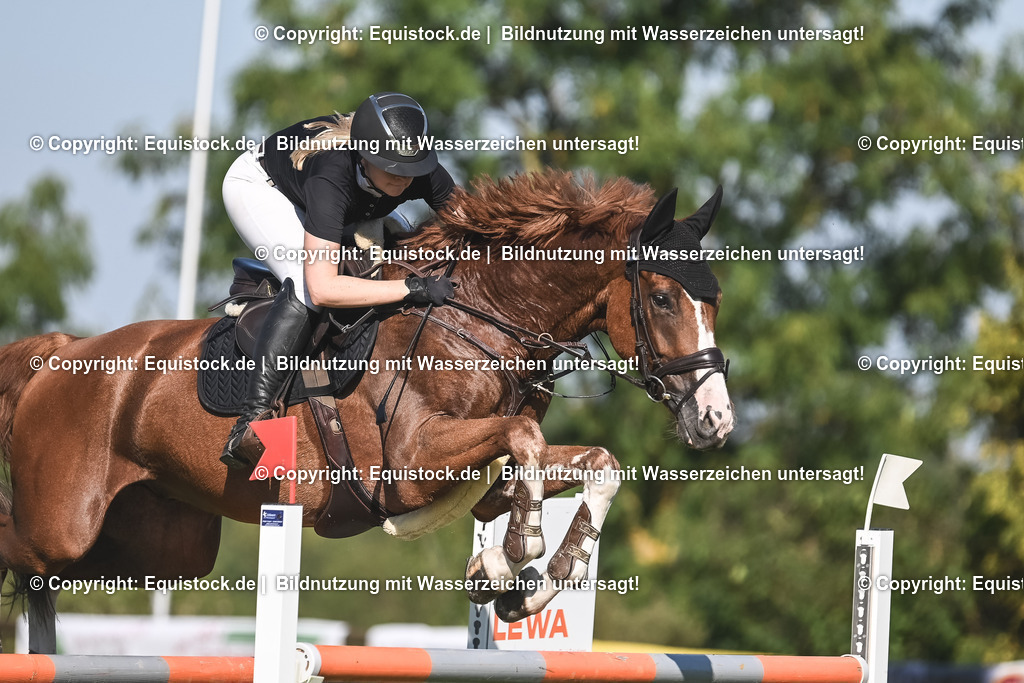 20230908_24_Springen_M_0073 | equistock