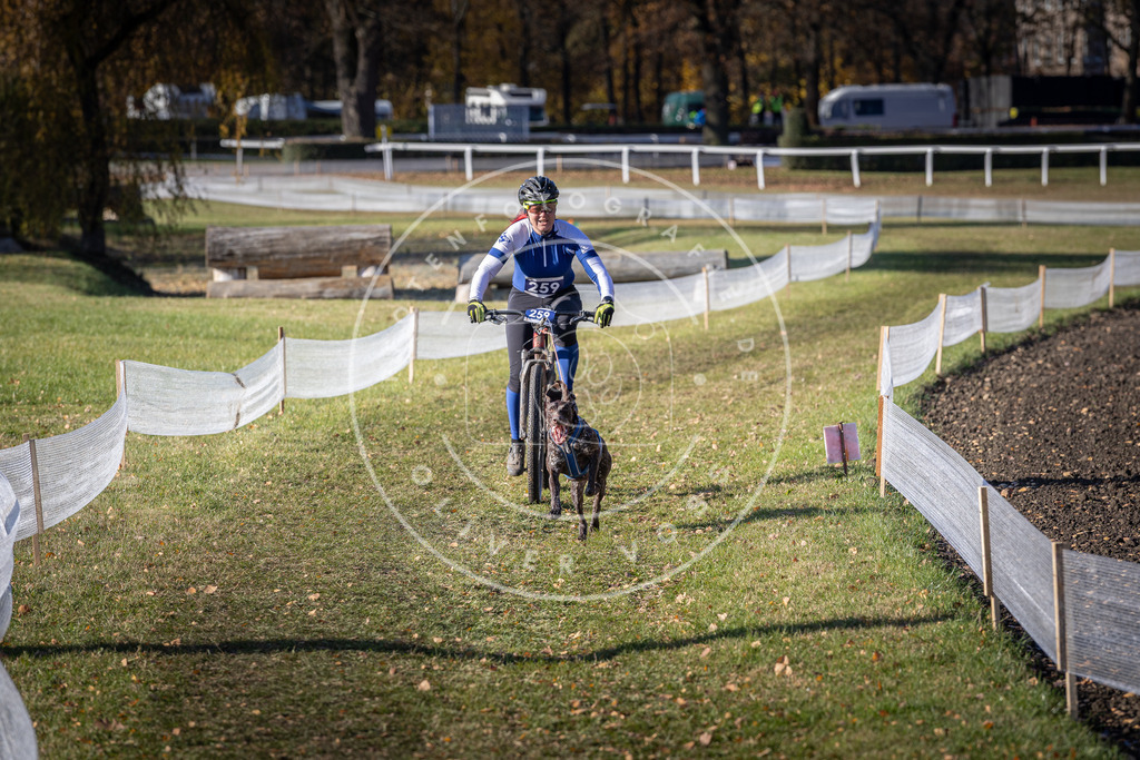 CaniXpix_DV3A4796 | Hundefotografie, Tierfotograf, Pfotenfotografie, Fotoshooting Hund, Hunde Portrait, Hundesport, Hundeportraits, Heideshooting, Hunde, Sportfotograf, Hundefotograf, Turnierhundsport, THS,  - Realisiert mit Pictrs.com