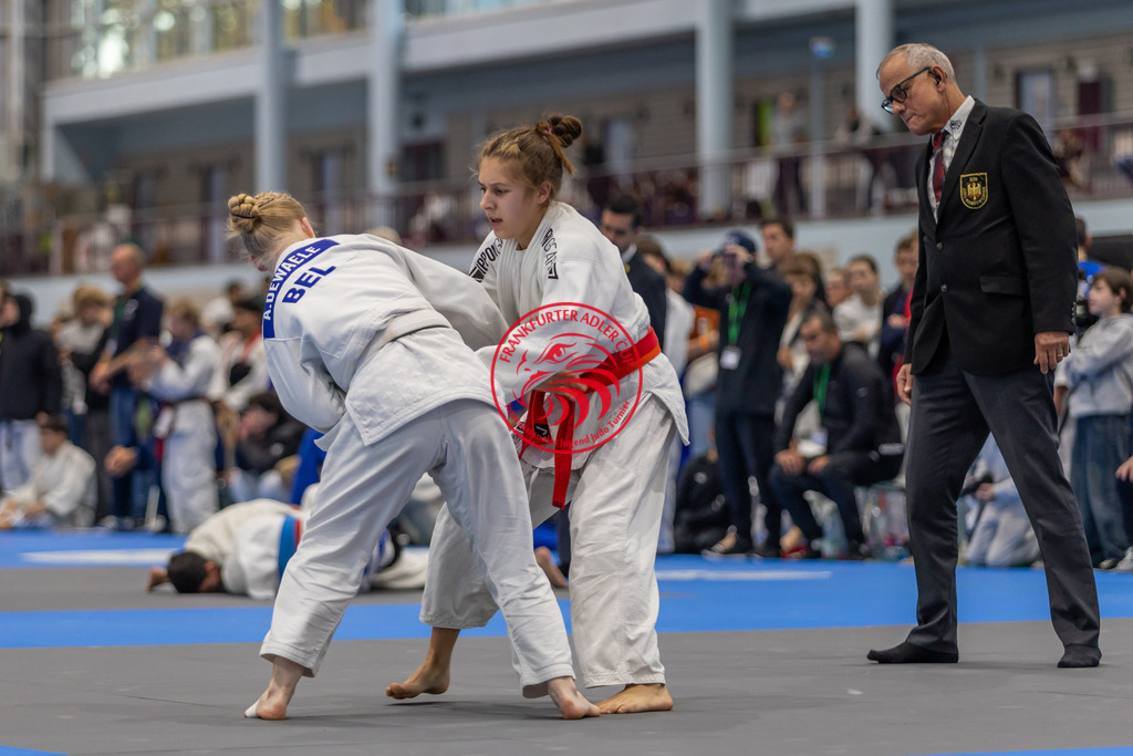 Internationaler Adler Cup 2024 | Foto vom Internationalen Adler Cup Judo Turnier im Sport- und Freizeitzentrum Kalbach im Oktober 2024 - Realisiert mit Pictrs.com