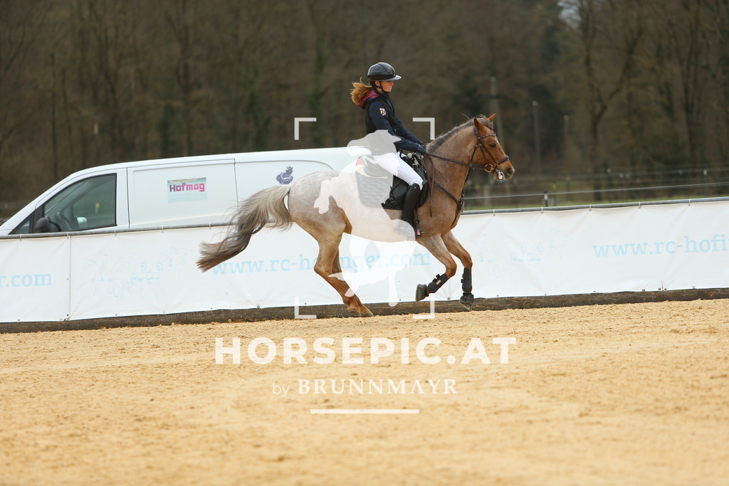 DL2Q1891 | Willkommen bei Brunnmayr - Design & Fotografie – Ihrem Spezialisten für Reitturniere und Pferdeveranstaltungen in Oberösterreich, Salzburg und Bayern! Seit über 17 Jahren sind wir leidenschaftlich dabei.