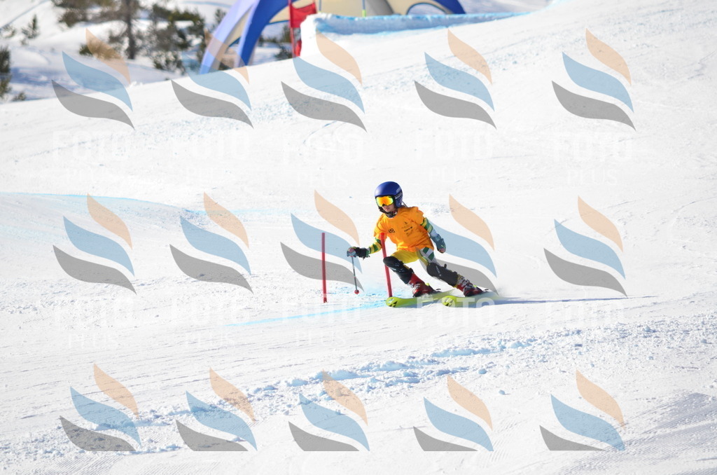 C6042 | holidayphoto