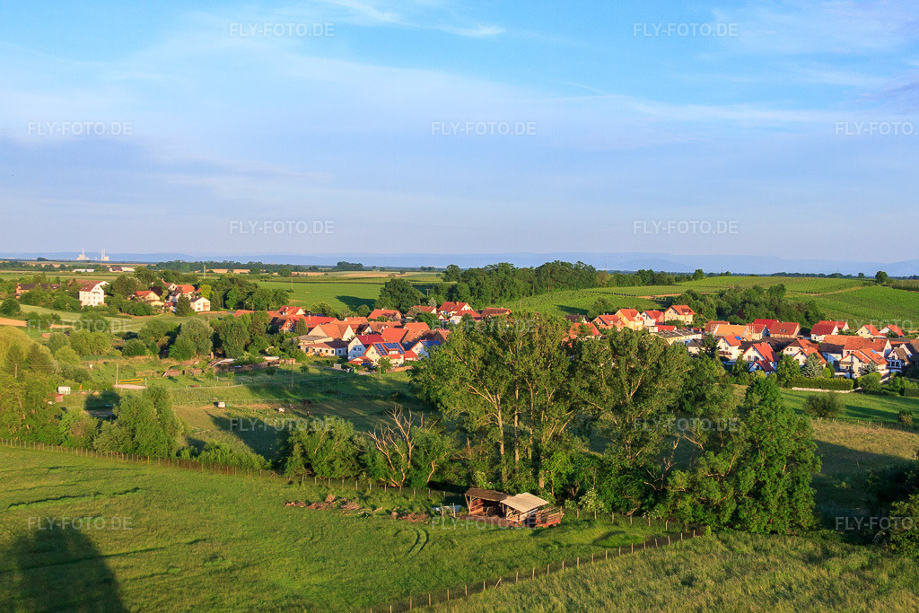 Luftbild: Im Billigheimer Bruch in Hergersweiler im Bundesland Rheinland-Pfalz in Deutschland. Foto: IMG_50132.jpg vom 05.06.2012 durch Werner Riehm/FLY-FOTO.de