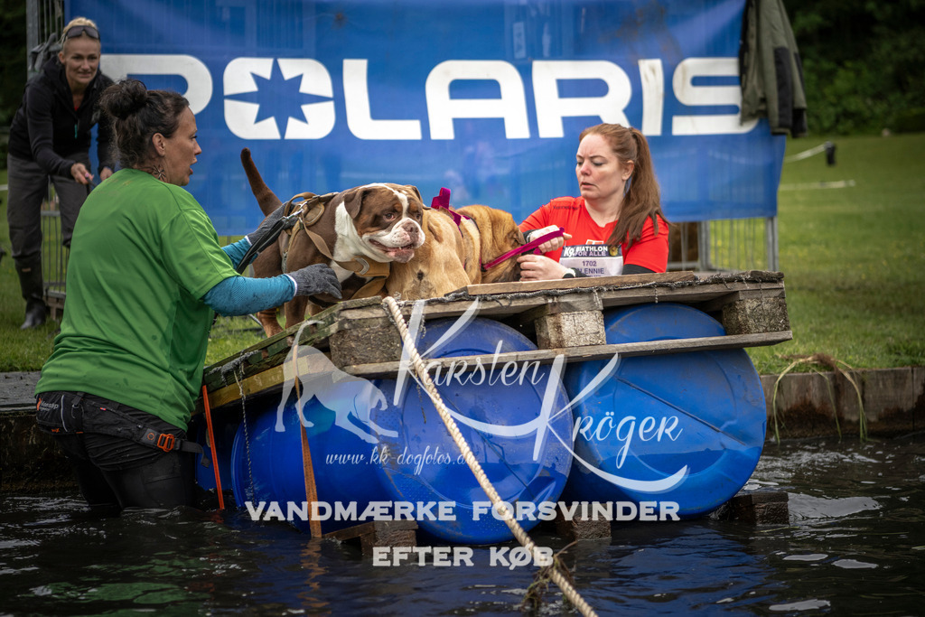 1003_ZZ93905 | kk-dogfotos