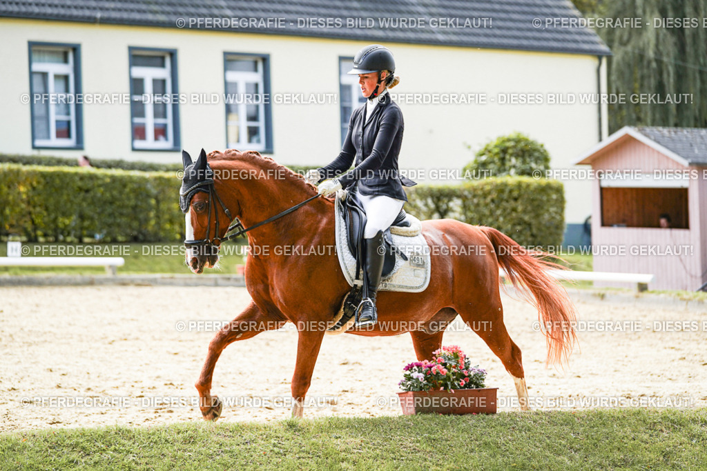 DSC09018 | Pferdegrafie