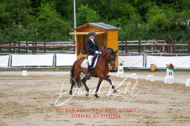 DKP47766 | Turniersportfotografie; Pferdefotografie; Dressurfotografie