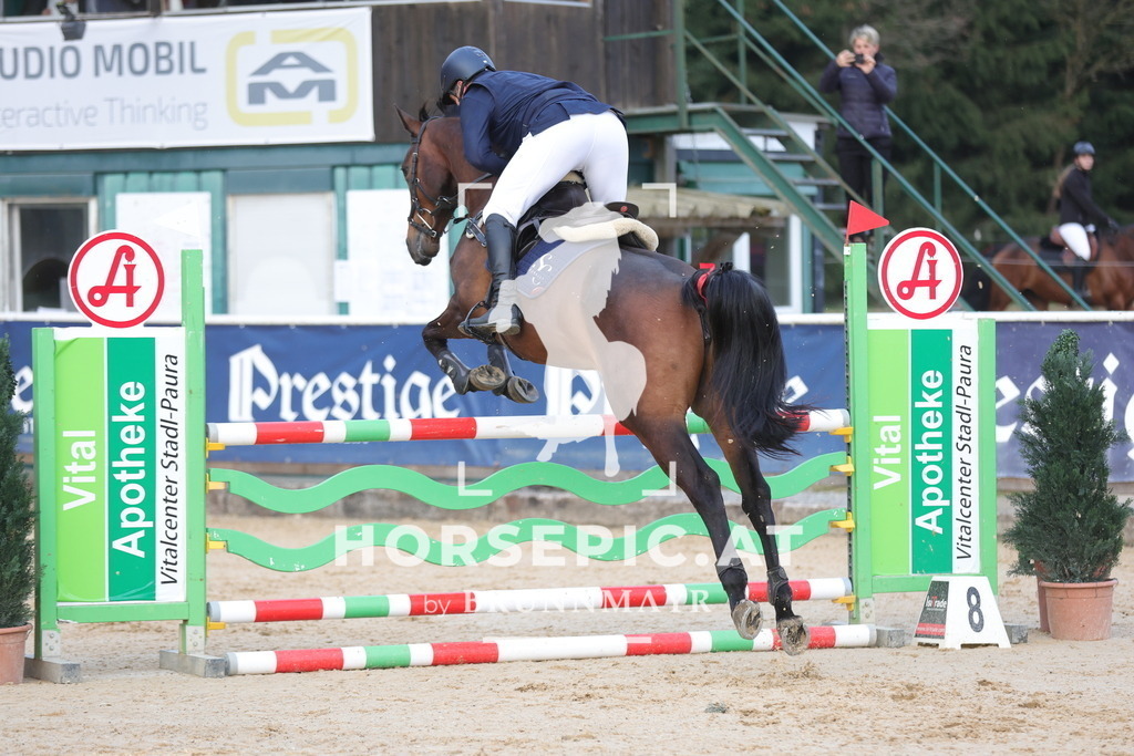 0P6A2974 | Willkommen bei Brunnmayr - Design & Fotografie – Ihrem Spezialisten für Reitturniere und Pferdeveranstaltungen in Oberösterreich, Salzburg und Bayern! Seit über 17 Jahren sind wir leidenschaftlich dabei.