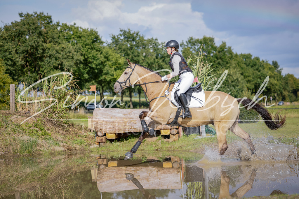 20250905-_3LI1150 | Tierfotografie Pferde, Hunde, Katzen, Haustiere.
Turnierfotografie Reitturniere, Reiten, Springreiten, Dressur in Hanau, dem Main-Kinzig-Kreis und dem Rhein-Main- Gebiet um Frankfurt