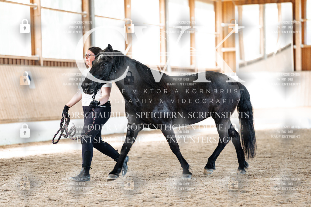 CK906507 | Turnierfotografie Pferdefotografie Trier Rheinland-Pfalz Pferdesport Reitsport Tierfotografie Sportfotografie Pferdevideo Pferdevideografie Equestrianvideography equestrianphotography  - Realisiert mit Pictrs.com