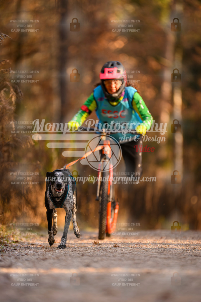MompixPhotography_DM_AKDM_SO_2025_Scooter-204 | PayLife