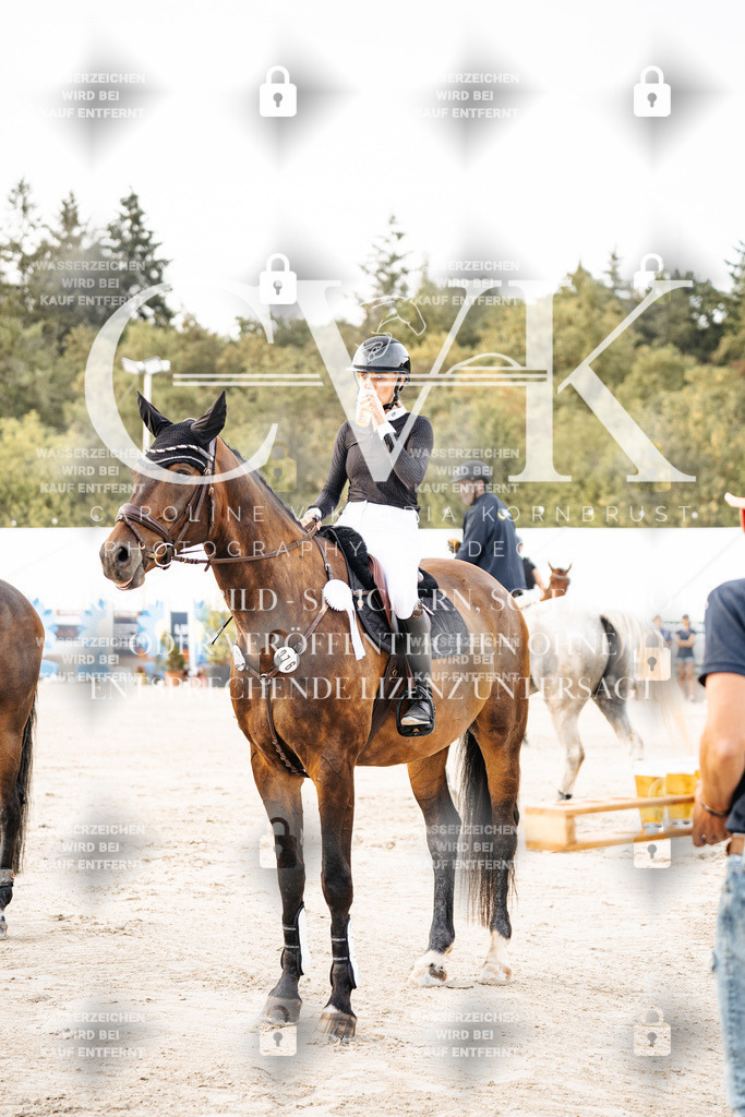 CK704249 | Turnierfotografie Pferdefotografie Trier Rheinland-Pfalz Pferdesport Reitsport Tierfotografie Sportfotografie Pferdevideo Pferdevideografie Equestrianvideography equestrianphotography  - Realisiert mit Pictrs.com