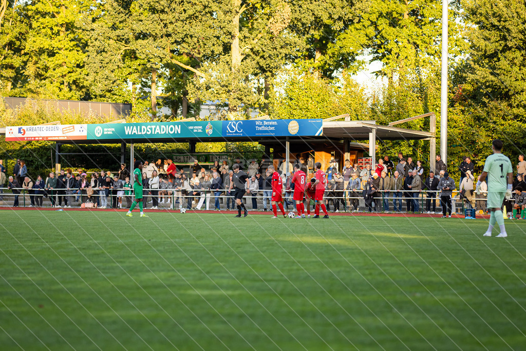 20250913_Picselweb-Fotografie_1R3_0301 | Dein Fotograf aus dem Landkreis Stade für Sport und Events - Realisiert mit Pictrs.com