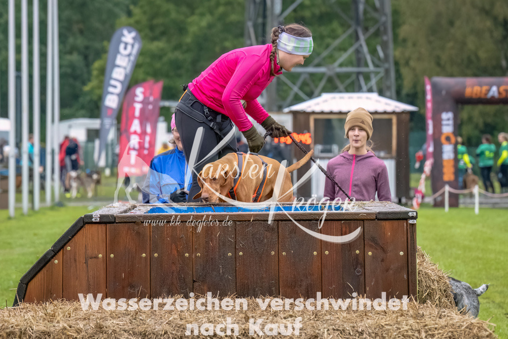 1159- | kk-dogfotos