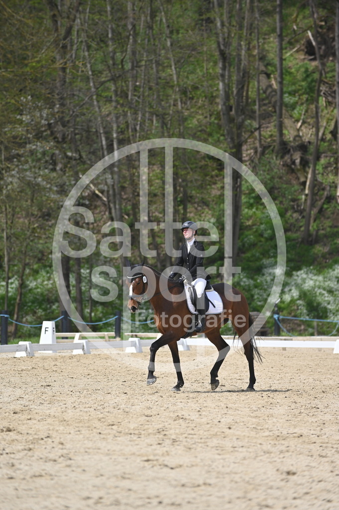 DSC_3191 | sattelsport - Realisiert mit Pictrs.com