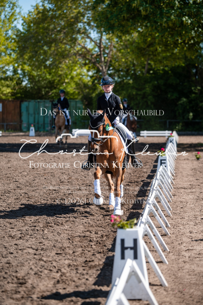 DSC_0680 | Christina-Kleuver