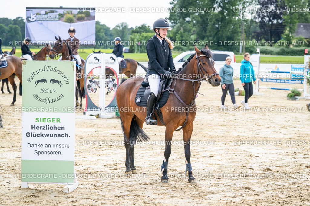 DSC05673 | Pferdegrafie