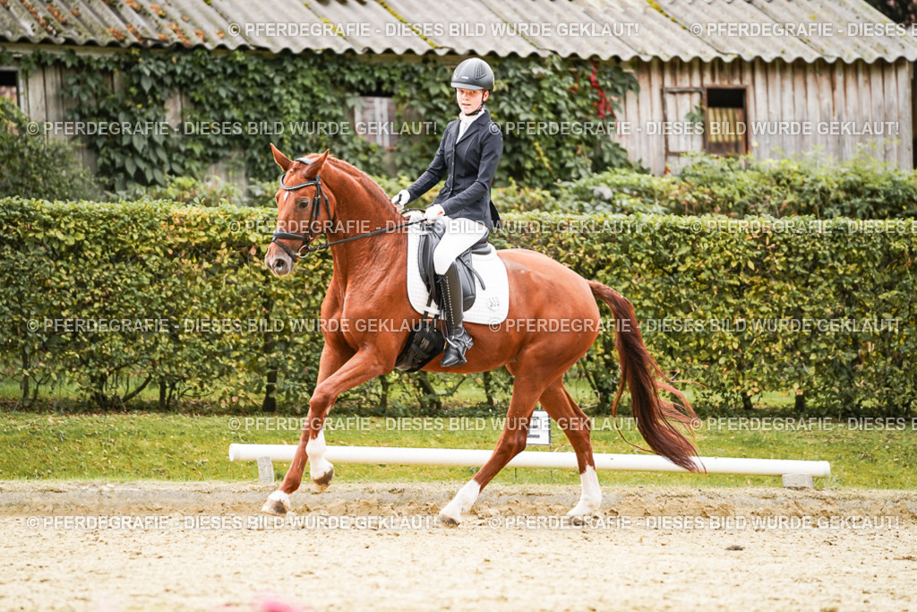 DSC07633 | Pferdegrafie