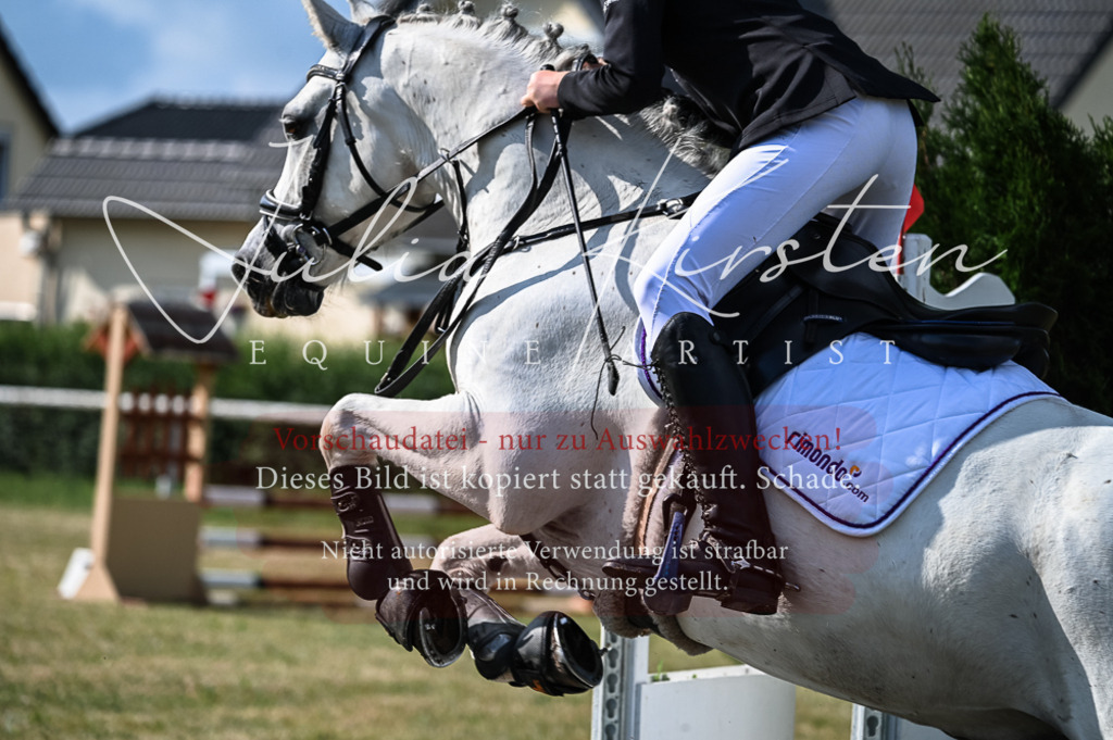 DSC_7733 | Pferde- und Turnierfotografie in Westsachsen. Pferdeportraits, Auftragszeichnungen und intuitive Kunst.