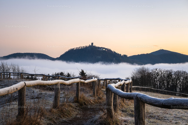 DSC_7129 | Bilder von Frank Landsberg / Siebengebirge in Bildern - Realisiert mit Pictrs.com