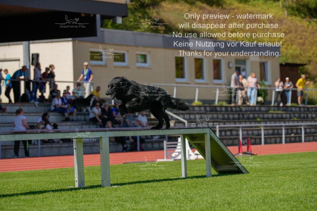 Sonntag_VK Hindernis (327 von 671) | stephaniefillaphotographie - Realisiert mit Pictrs.com