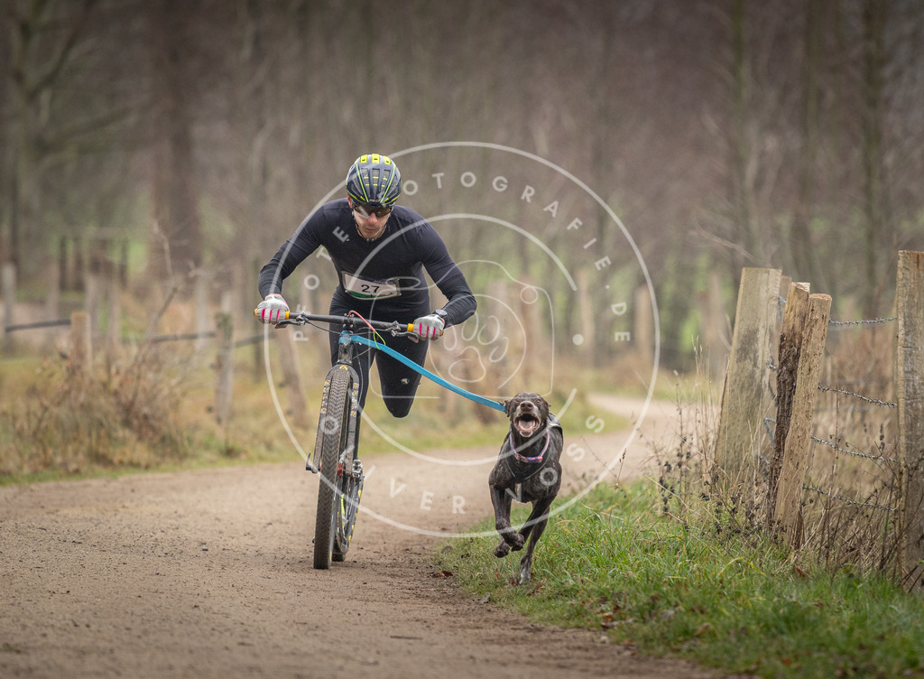 Pfotenfotografie_DV3A2144 | Hundefotografie, Tierfotograf, Pfotenfotografie, Fotoshooting Hund, Hunde Portrait, Hundesport, Hundeportraits, Heideshooting, Hunde, Sportfotograf, Hundefotograf, Turnierhundsport, THS,  - Realisiert mit Pictrs.com